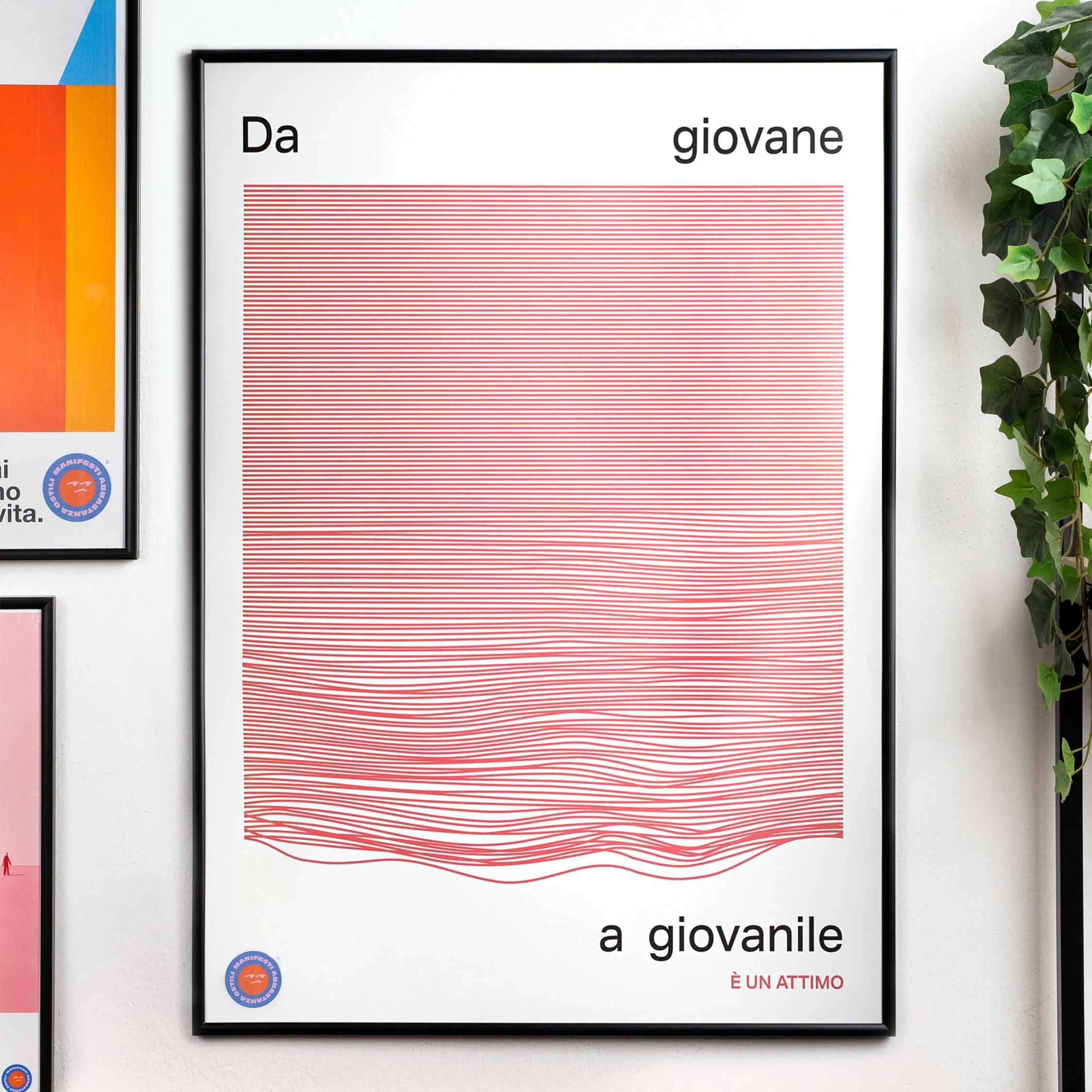 Da giovane a giovanile è un attimo - Image 6