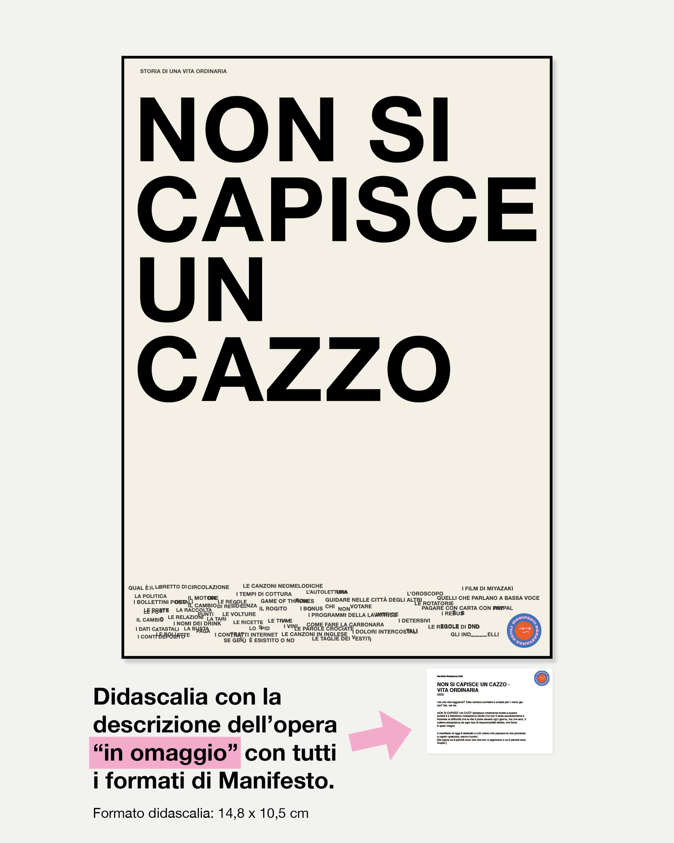 Non si capisce un cazzo - VITA ORDINARIA - Image 3